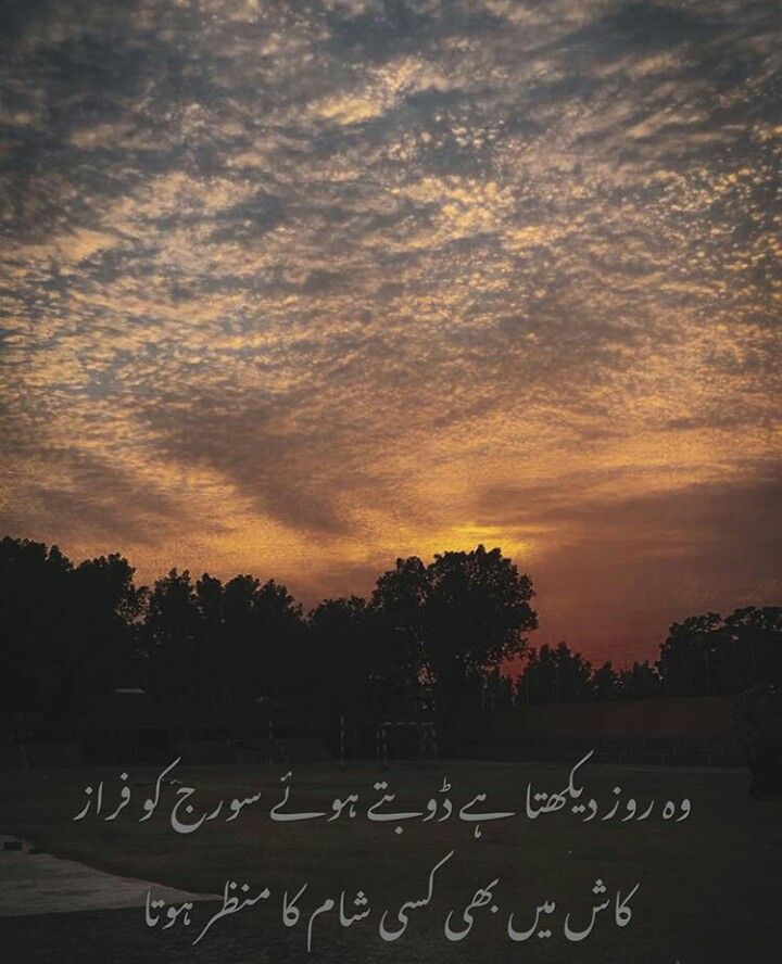 Hamid Allauddin tweet media