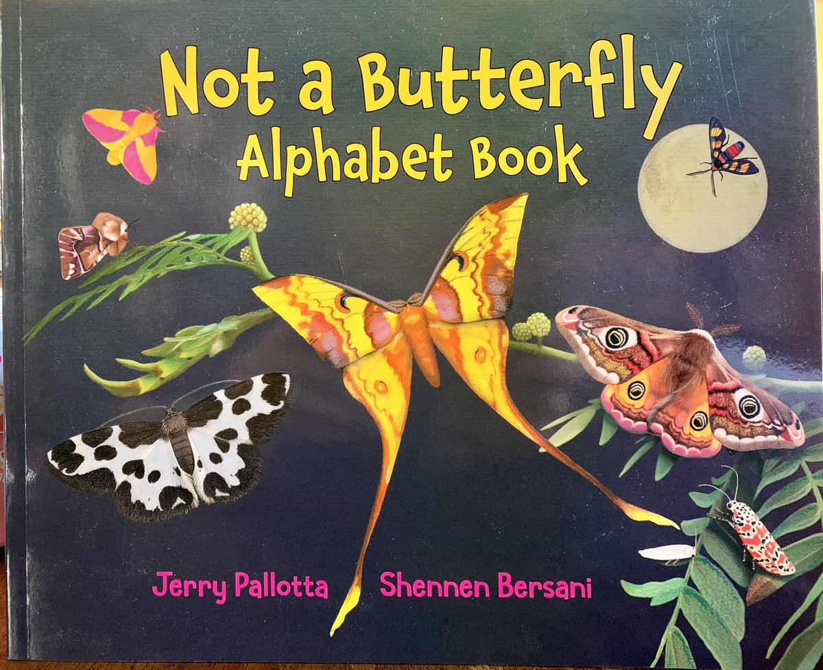 I’ve got a book for that! Not a Butterfly Alphabet Book @jerrypallotta @charlesbridge #illustrator #kidslit #nonfiction