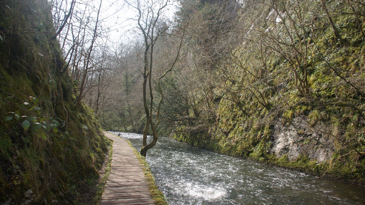 Dovedale,  Derbyshire.