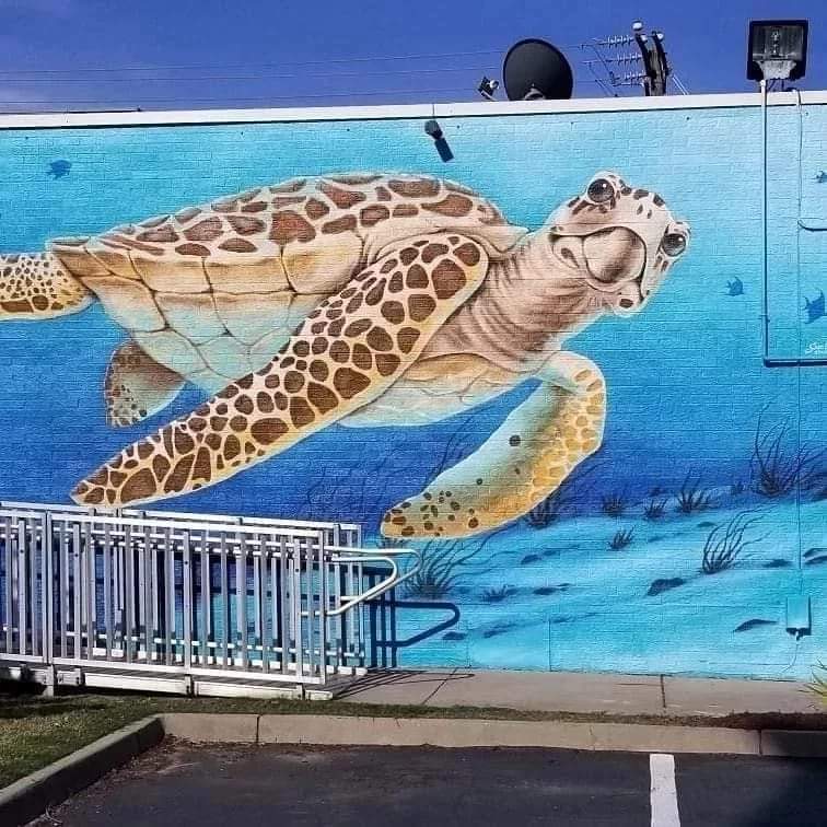 HarpoonLarrysVB's tweet image. Harpoon Larry's Oyster Bar 216 24th Street Virginia Beach Va. 23451 
Every Sunday at Harpoon's.11:00am - 4:00pm $3.50 
Bloody Marys, Mimosas, Screwdrivers, Greyhounds &amp;amp; Cape Cods. Plus 1/2lb of fresh North Carolina steamed shrimp for $6.99. harpoonlarryskillerseafood.com