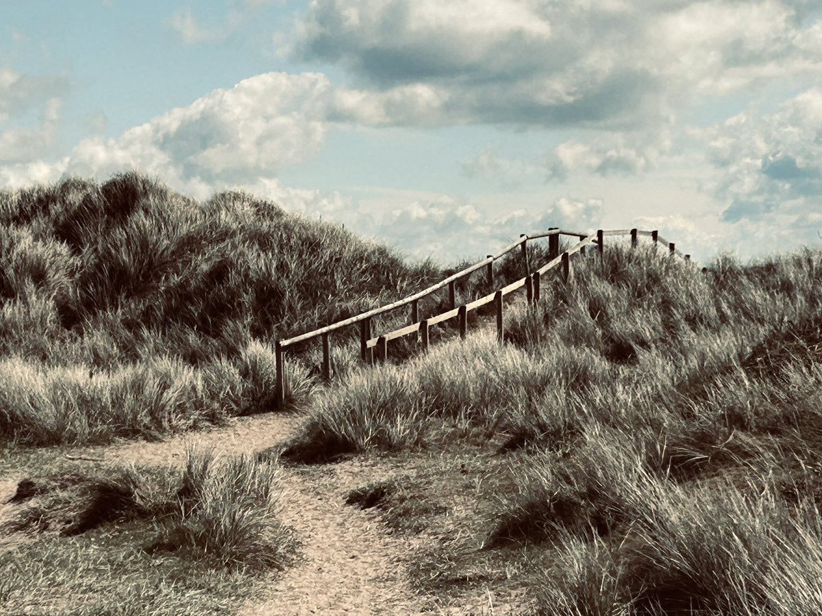 Amongst the dunes at Talacre, Flintshire.