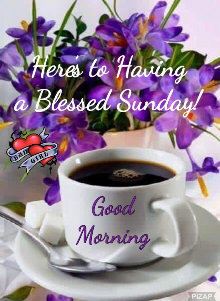 Good Morning Patriots ☕️ 🇺🇸🌟 Wishing everyone a fantastic Sunday 🤗🥰😁 Have a great day everyone 😎💞🌹👊🇺🇸💥✨️💫 #BadSquad #UnitedConservatives