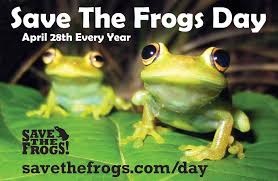 Did you know that today is Save the Frogs Day?  Because of Save The Frogs Day, frogs now have assistance all around the planet, and the next generation of humans is growing up with the knowledge needed to protect amphibians from extinction. They depend on clean water, too!