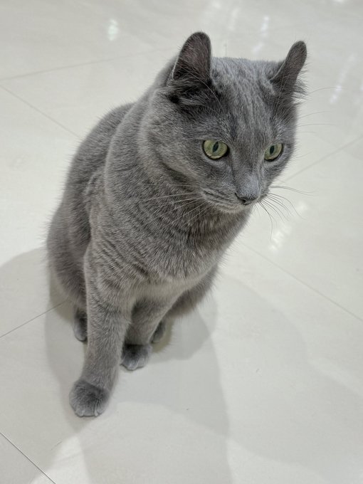 Watch 𓆟uri 𓆟's leaked NSFW photo on TwXstars