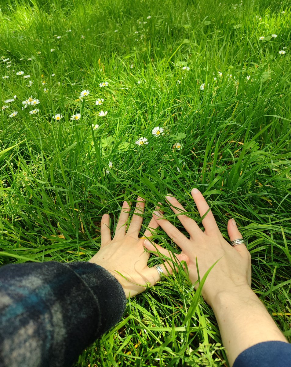 we went out and touched some grass today