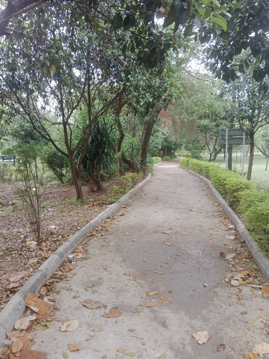 the path I've taken! #stroll #aprilday #nature #Rawalpindi