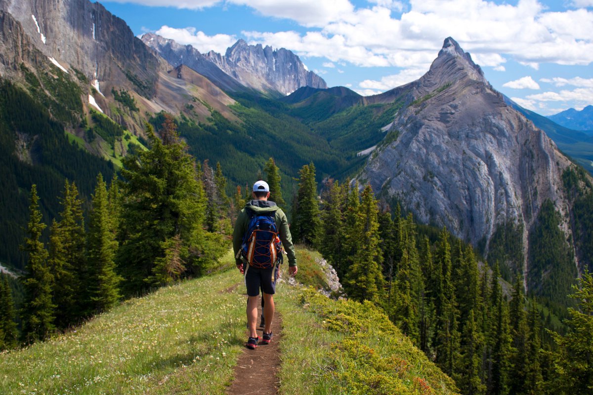 Spring is a great time to hit the trails & enjoy the stunning nature in Canada! From #Yukon to #Newfoundland, each province and territory has incredible hiking trails to explore. For #CelebrateTrailsDay, be sure to make use of your region's trails! Where’s your go-to trail? 🏞️🧗