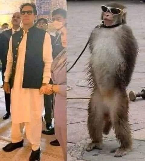 فرق تلاش کیجیے 😎