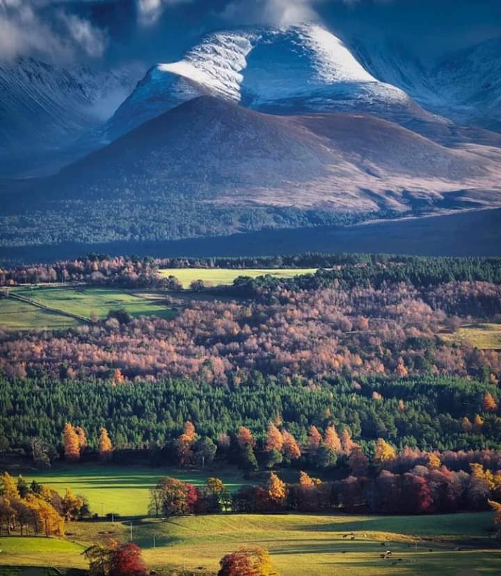 Cairngorms,Scotland 🏴󠁧󠁢󠁳󠁣󠁴󠁿