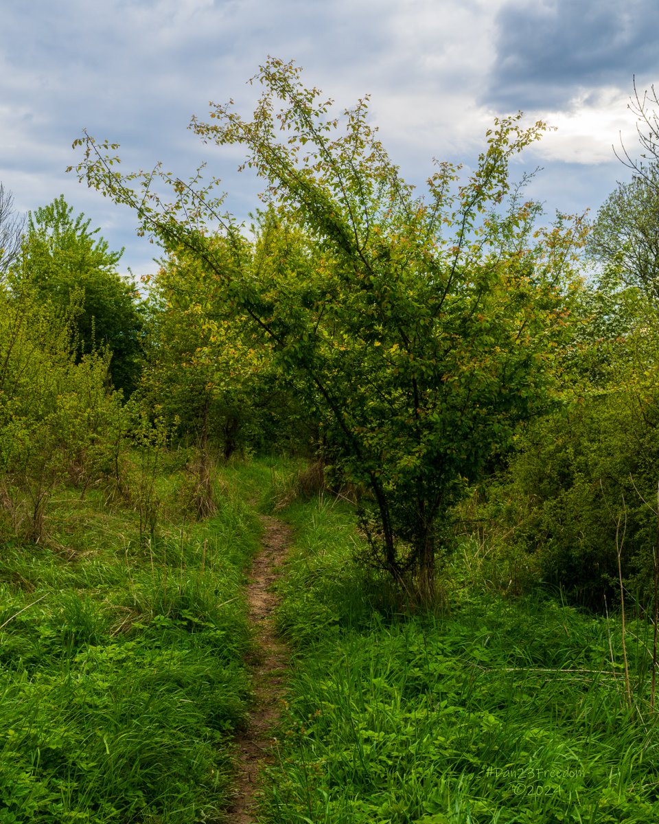 📷 1/100 sec at f/13, ISO 400, 40 mm prime #dan23freedom
#germany #nordrheinwestfalen #walk #ilovetrees #tree_magic