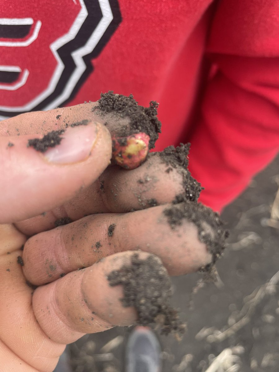 Matt Carlson tweet media