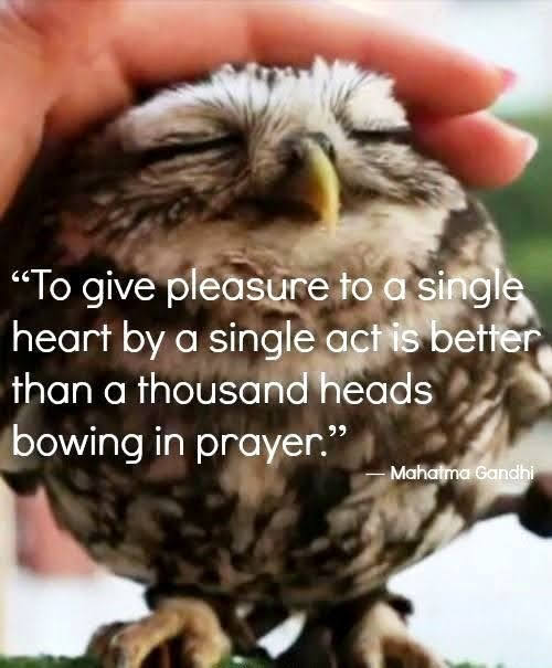 My Dearest Friends...
Thank You All for your beautiful magic ✨ 🥰 🤗 
Sunday Funday Blessed...

'To give pleasure to a single heart by a single act is better than a thousand heads bowing in prayer.'
Mahatma Gandhi
#IDWP🕊️
#LOVETRAINFROMIRAN
#JoyTrain
🚂✨🪄🫶🏼🧚🏻🌼🐞🌠🦋