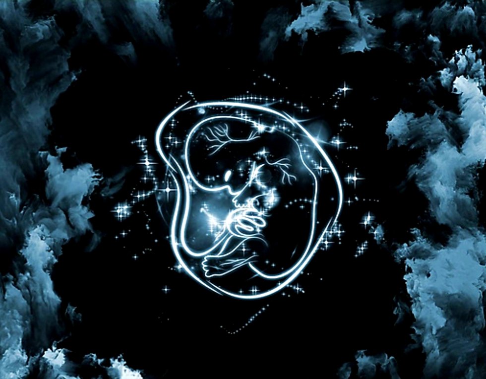 Unborn Universe. 
4/20.
Unknown.
#ProLife #ProLifeGen #ChooseLife