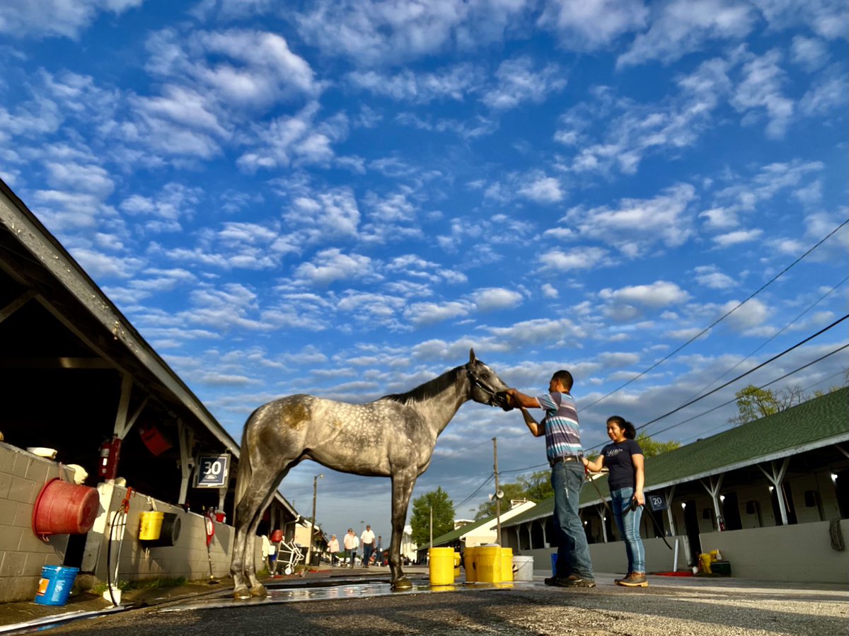 Today’s Found ART shot on my IPhone at #churchilldowns #kentuckyderby #horseracing #kentucky #racehorse #derby #thoroughbred #kyderby #louisville #horses #equestrian #nbcsports #racehorsemag #longines #bbcsport #louisvilleky #equestrianvideographer #equestrianphotographer