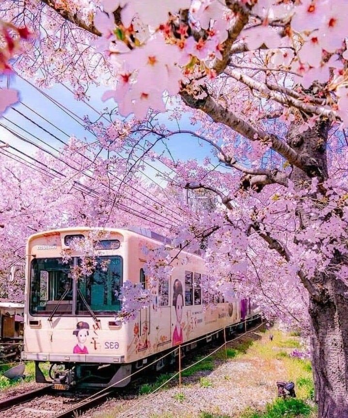 🌺🌸🚉

Spring Flowers 
Wonderful Landscape 
Japan 🇯🇵 
🌳🌸🌺