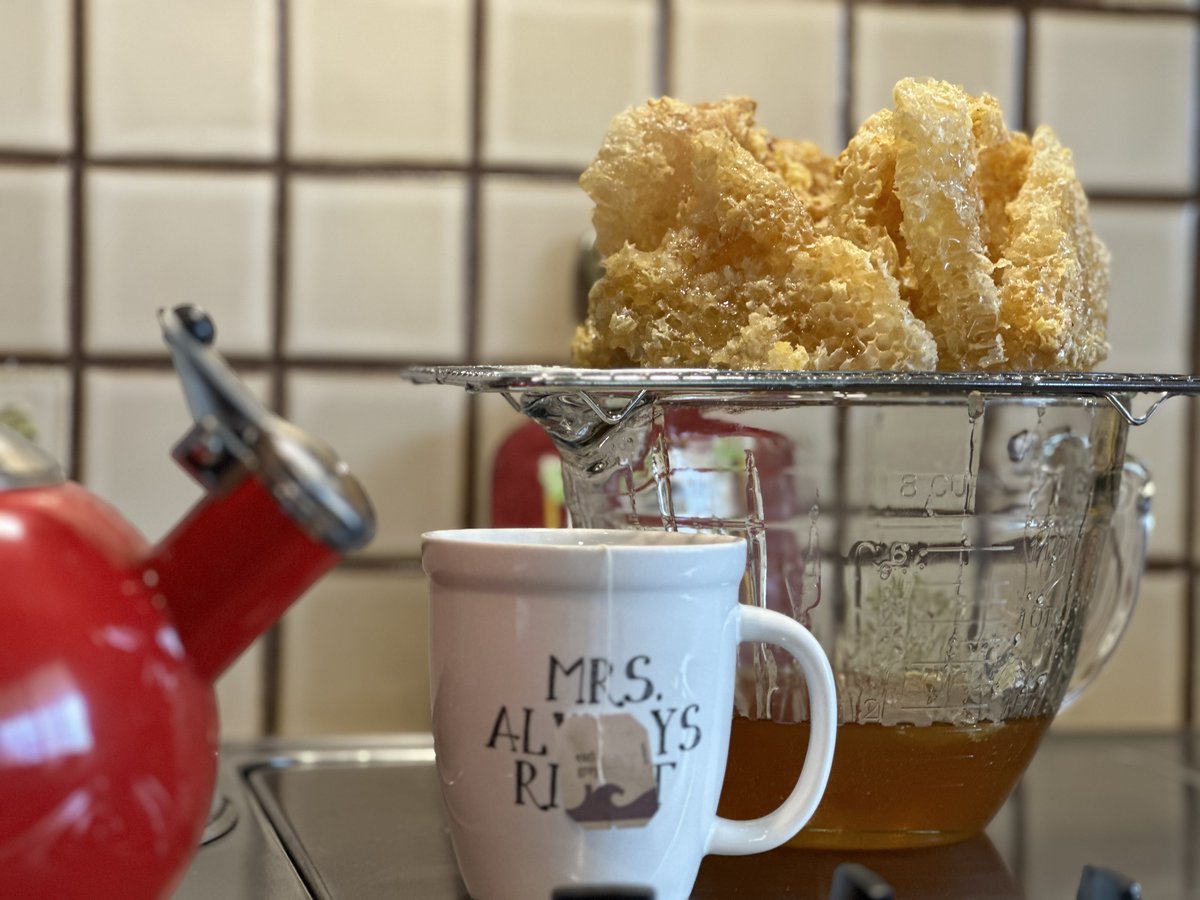 It's true what they say: the fruits of your own labor always taste sweeter. Beth's morning tea, with honey straight from her hives 🍯☕