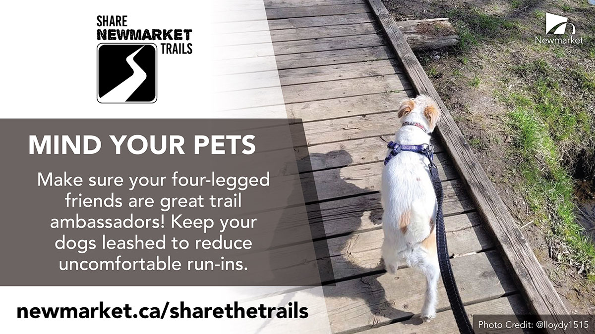 🌳If you’re out enjoying one of #Newmarket’s many trails, remember to keep your pets leashed. Use a short leash that allows you to keep your dog close and under control and prevent run-ins with others. Let's all #ShareNewmarketTrails See more tips at newmarket.ca/sharethetrails
