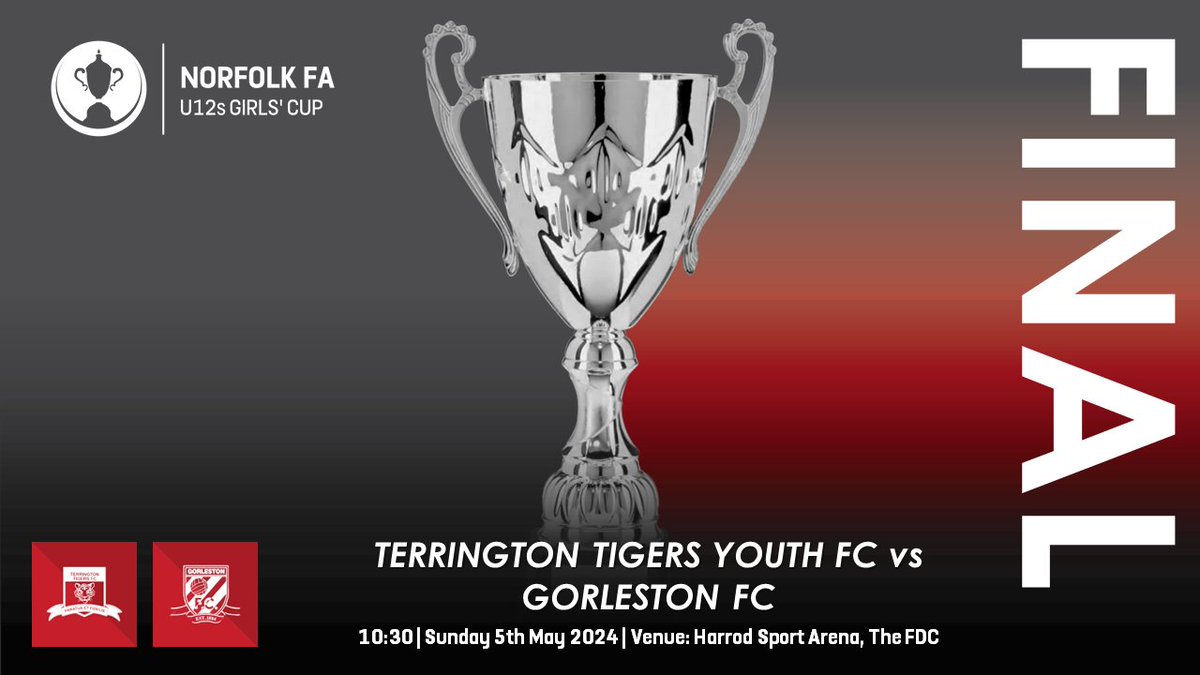 🎟️ TICKETS 🎟️ Make sure to purchase your tickets for next Weekend's #U12sGirlsCup final between Terrington Tigers Youth and @gorlestonfc 👇 ticketsource.co.uk/NCFA/norfolk-u…