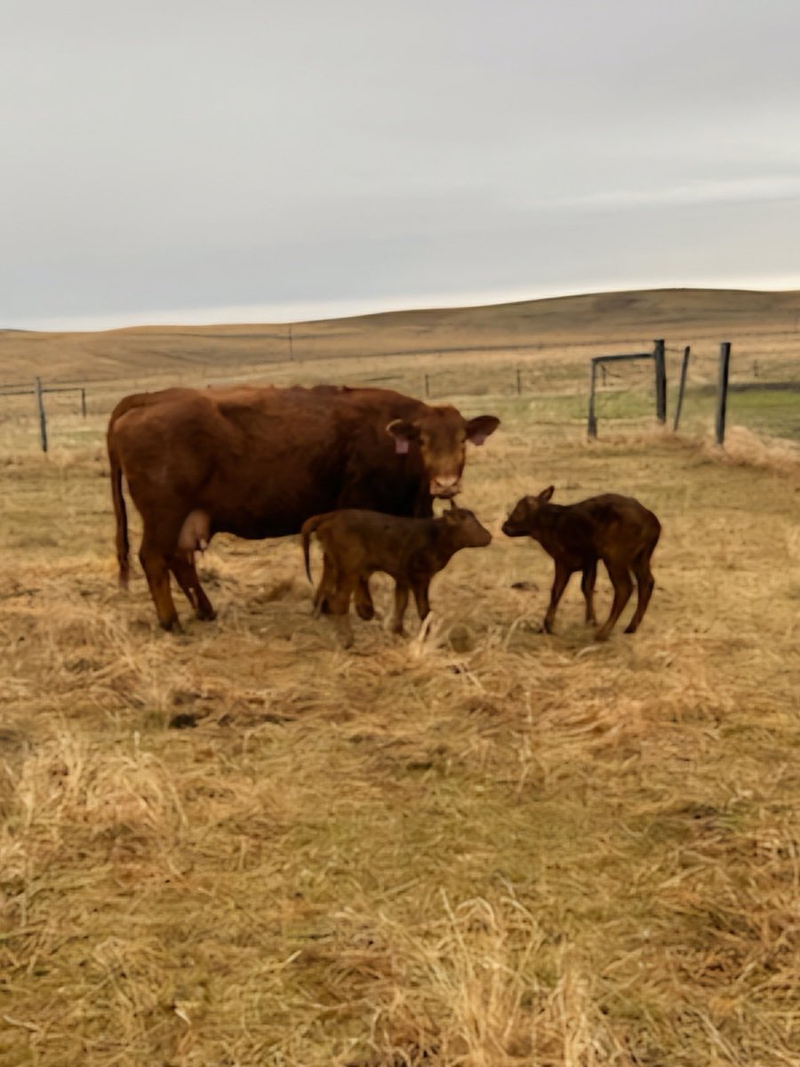 Cute little bonus this morning