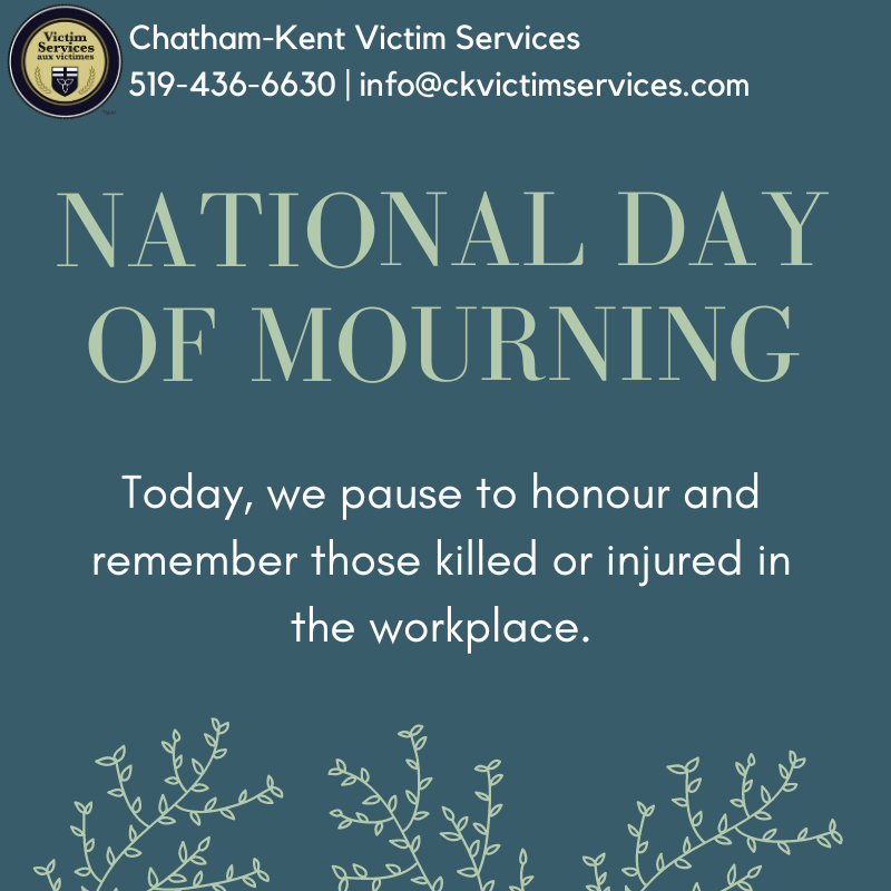 CK Victim Services tweet media