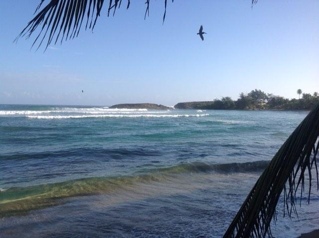 Playa Jobos
Isabela, Puerto Rico
#Jobos #Beach #Isabela #PuertoRico 🇵🇷
#Sunday #SundayMorning #SundayMovivation #SundayFeeling #SundayFeeling #SundayMood #SundayFunDay