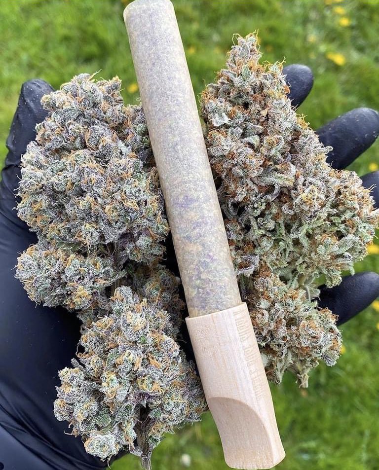 Almost too perfect to smoke! 😍💨

#StonerFam #Mmemberville