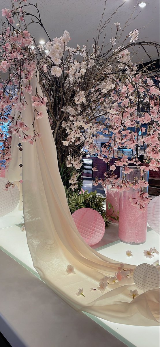 🏨🌸🌸🏨
ロビーが華やぐ
#ANACP札幌お花見
札幌は
多くの桜の名所があります✨
ゴールデンウィークは
桜を見に行こう！
今週も
よろしくね
🏨🌸🌸🏨