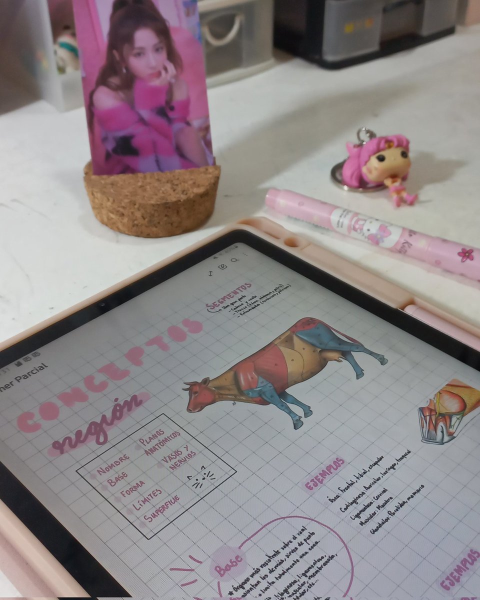 ˗ˏˋ ★ ˎˊ˗

A small #studytwt thread about some of the digital assignments I've done as a #vetstudent ꩜ .ᐟ