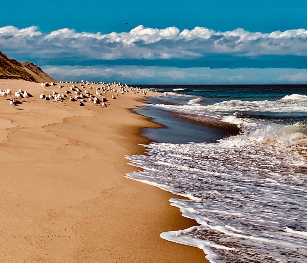 @DMiller52325459 #ScenicSunday Cape Cod