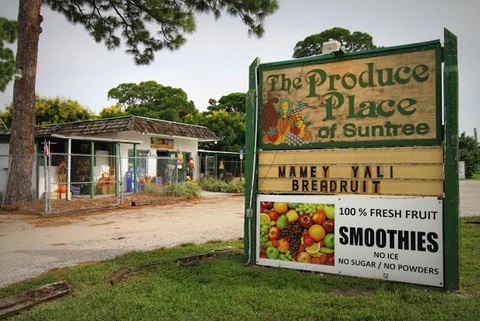 #SundayShoutout A bushel of thanks to @TheProducePlaceofSuntree for planting seeds of opportunity and providing a supportive enviornment for a world based learning experience. #SeedsofOpportunity #GrowTogether