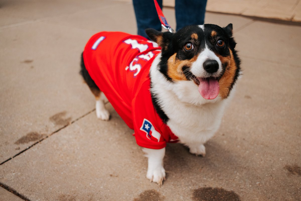 Bring your pup to tonight's game with the purchase of an @HEB Family Lawn ticket 🐕 Bark in the Park dates: RidersBaseball.com/Tickets 🔗