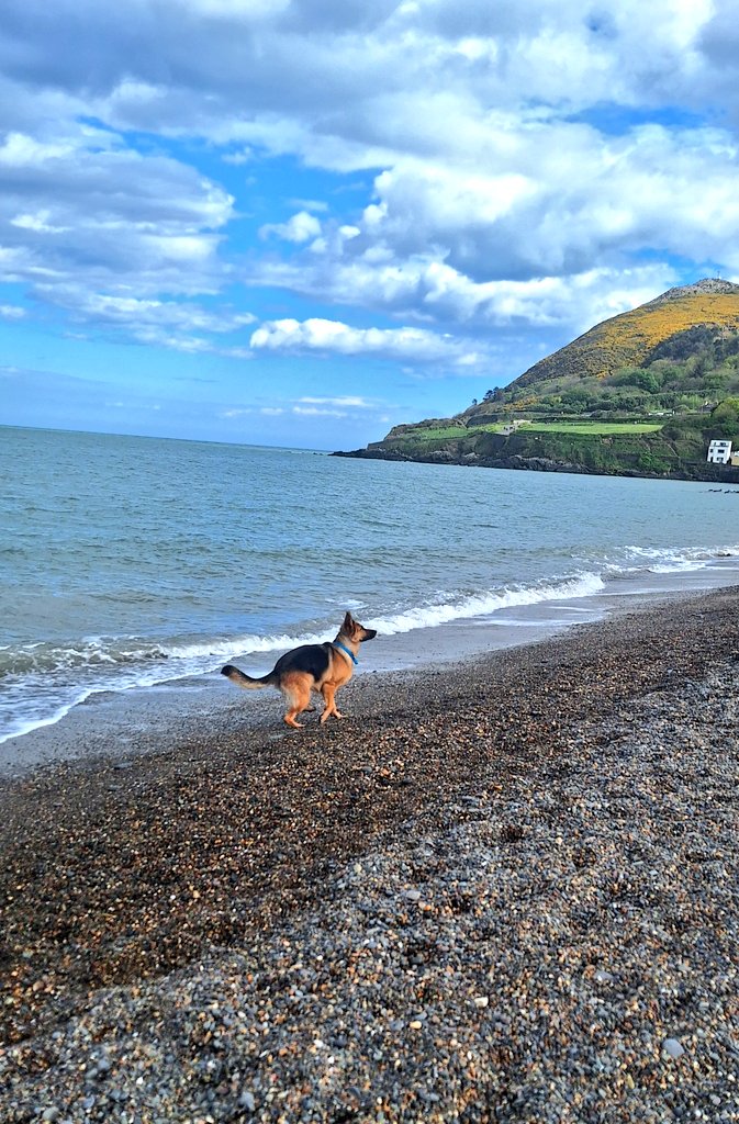 Good afternoon, Bray  @PhotosOfDublin @StormHour @ThePhotoHour