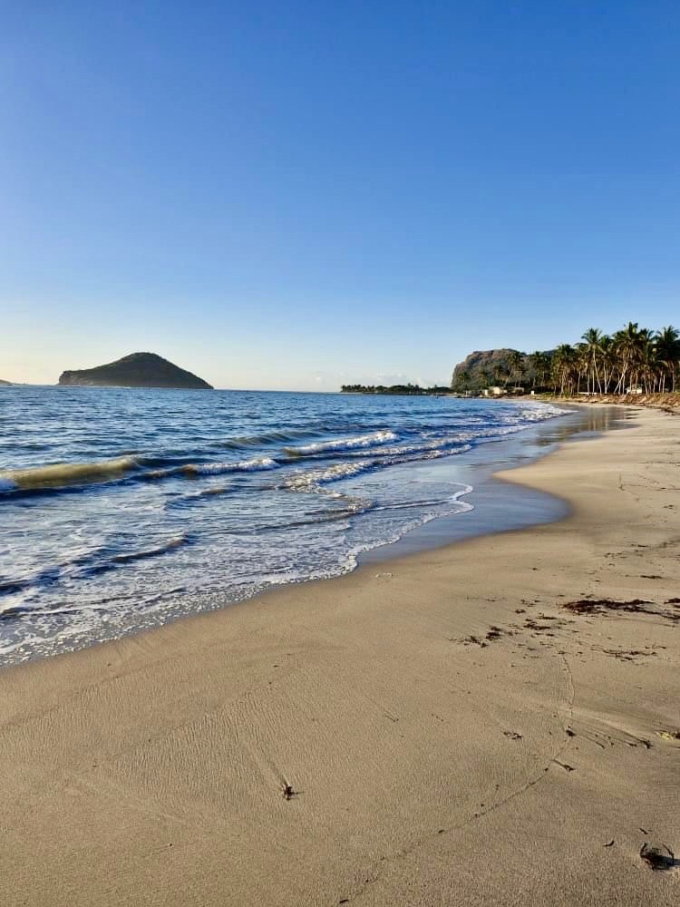 Submit your fan photos using #CbayFanPhoto or send us a DM for a chance to be featured on our page! #CoconutBay #Beach #BeachResort #Allinclusive #Caribbean 📸: d.liesl