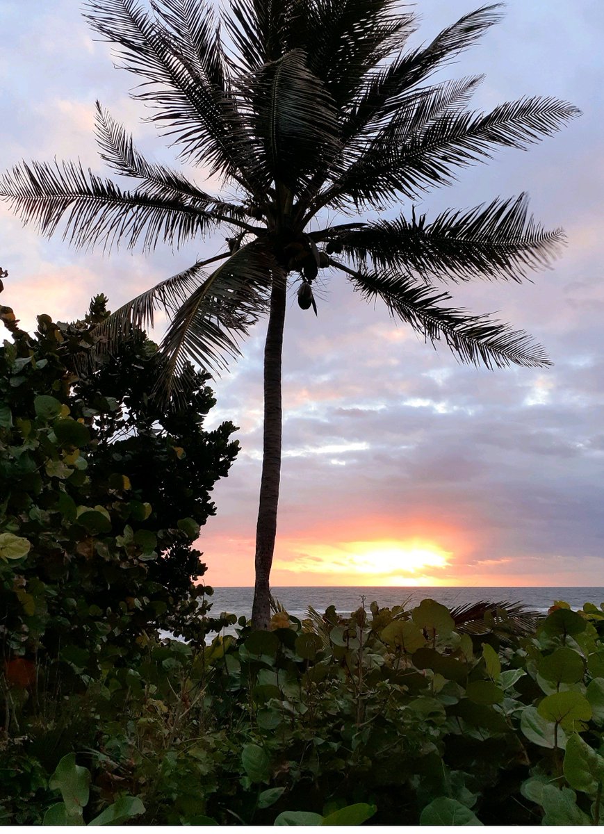 It's a windy yet beautiful day at Boynton beach, Florida. 🌴✨️🐠🐚💛🏖🧡🧜‍♀️🧜‍♂️🏝 @boyntonbeachrec @cityofboynton @VISITFLORIDA @FloridianCreat1 @BeInspiredFL @PalmBeachesFL @LuxTravelHotels @AuthenticFL @born_saltwater @AventuraRI #SundayMorning #sunrise