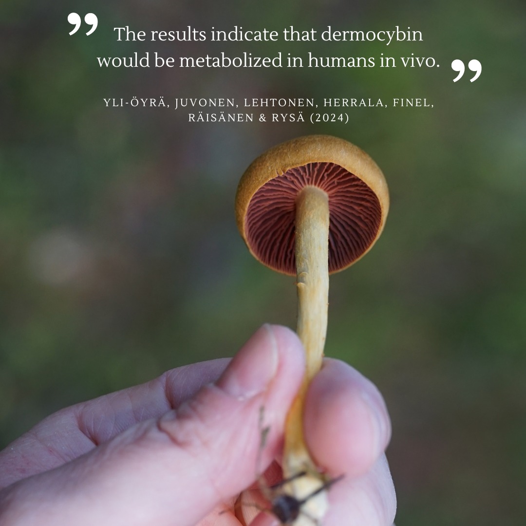 BioColour tweet media