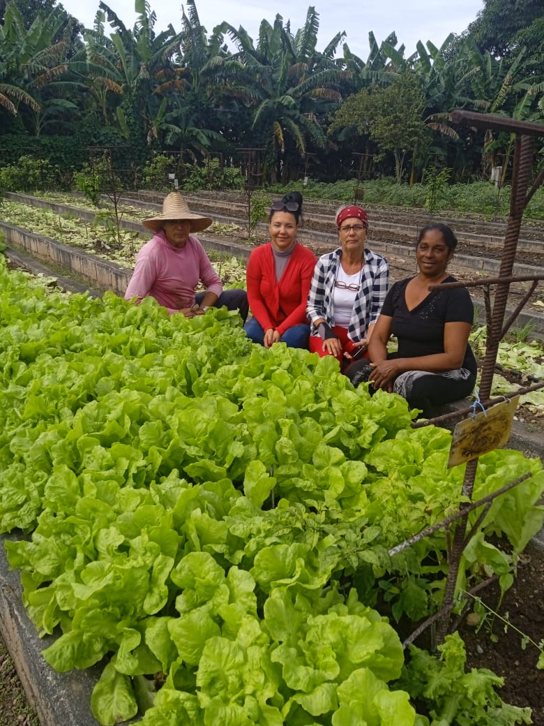 #PorCubaJuntosCreamos. Este #1deMayo los trabajadores del sistema de la Agricultura Urbana Suburbana y Familiar estaremos  presentes en cada plaza  para junto a nuestro pueblo ratificarle al mundo que seguiremos unidos y  firmes  defendiendo nuestra #Revolución