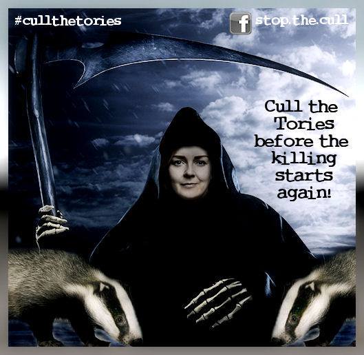 The killing of this 'protected' species of #wildlife never stopped ... nor will it until we get the #ToriesOut 🗳️ & Labour really listens to science rather than NFU lobbying! #badgermonday 🦡 #stopthecull
socialistworker.co.uk/reviews-and-cu…