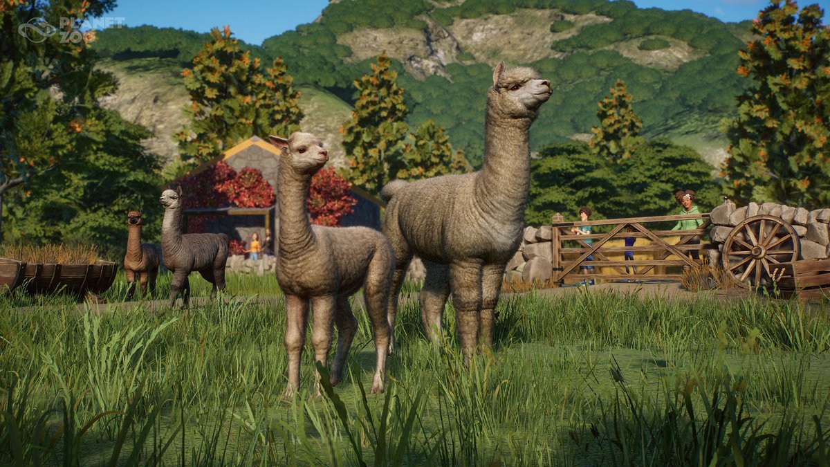 The Alpaca from the South American Andes with their distinctive long and slender necks are known to hum to each other as a form of communication.

planetzoogame.com/news/planet-zo…