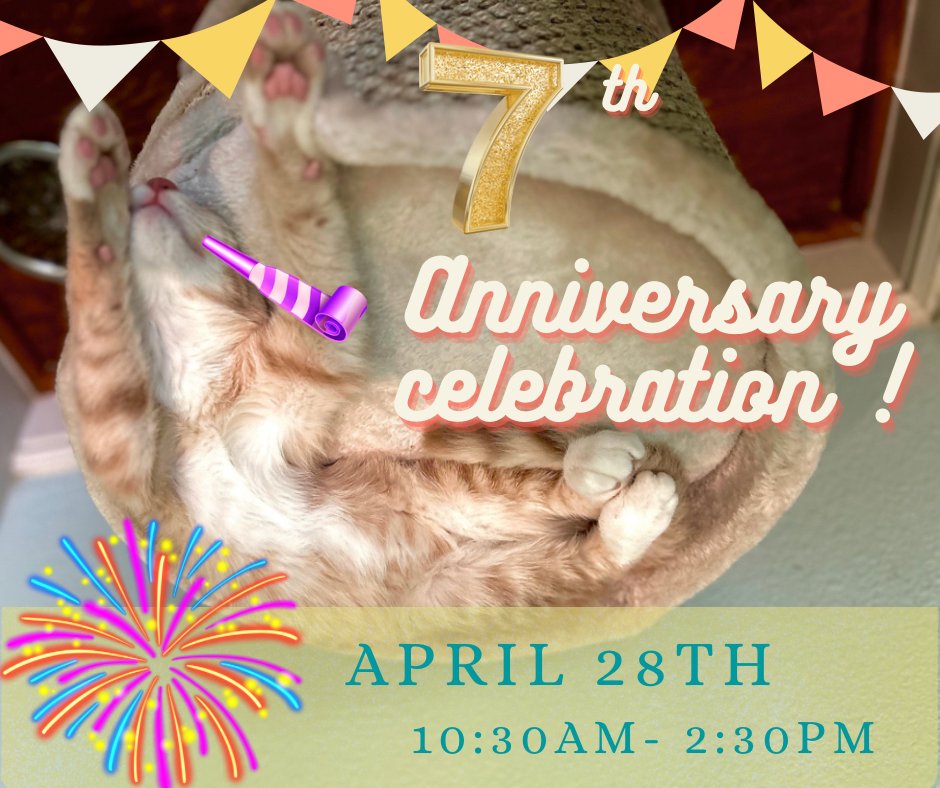 Celebrate 7 years and 800 adoptions with us today from 10:30am-2:30pm. Our Silent Auction is open until 2:15pm. Place your bids meow at bit.ly/3Qh6wTa Come hungry, as we meow have empanadas on the menu & will be celebrating with cake. #adoptdontshop #houstoncatcafe