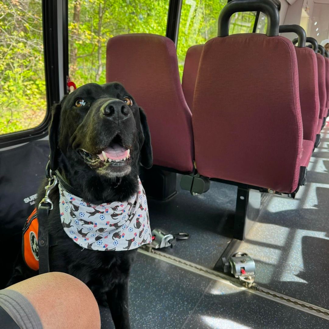 📸 @floydismyears on IG, read more: bit.ly/44aOUhs Thanks for the visit, Floyd! 🐾 We always enjoy seeing our visitors' photos of Monticello. Tag us @TMonticello for a chance to be featured on our social channels!