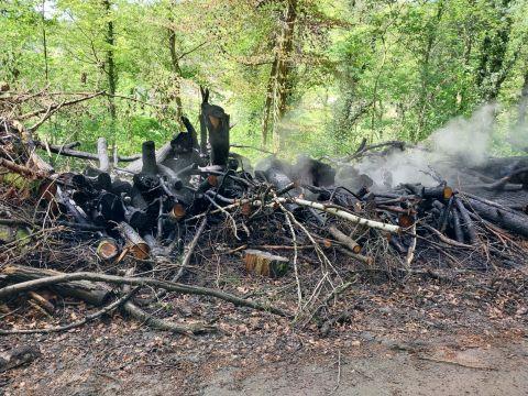 Appel à témoins après un incendie volontaire à Rosport lequotidien.lu/a-la-une/appel…