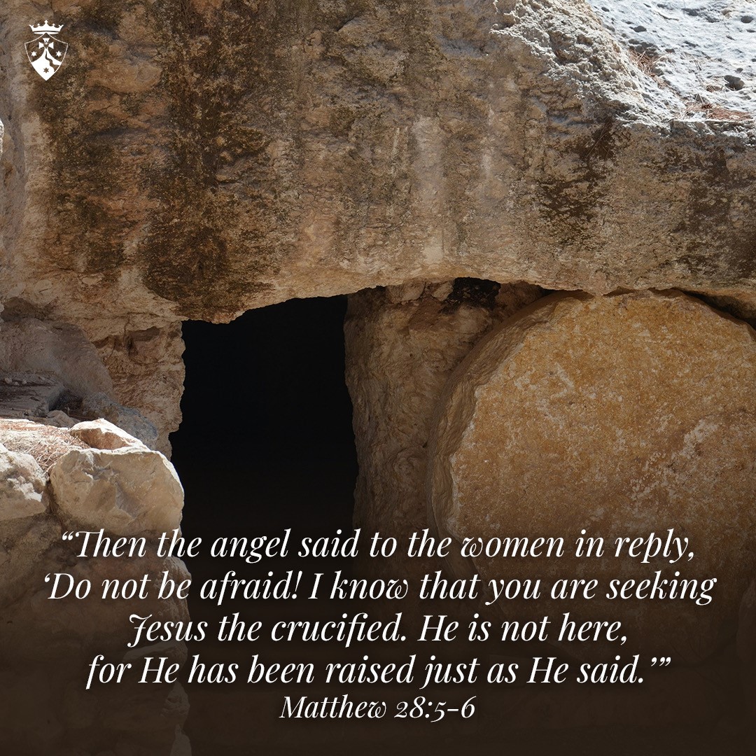 CarmelitesOCD's tweet image. &quot;Then the angel said to the women in reply, “Do not be afraid! I know that you are seeking Jesus the crucified.  He is not here, for He has been raised just as He said.&quot; 

-  Matthew 28:5-6 

#SundayScripture #csocd