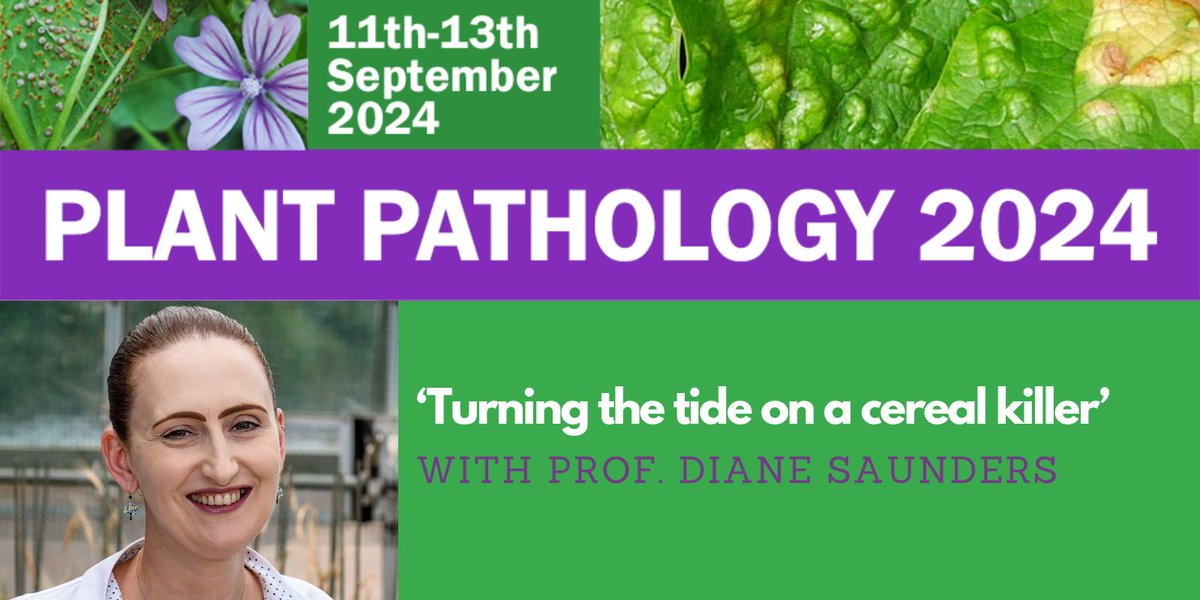 Diane Saunders, John Innes Centre, winner of the RKS Wood Prize 2024, presents 'Turning the tide on a cereal killer' at #PPATH2024. Don't miss this insightful session! Plantpathology.org.uk