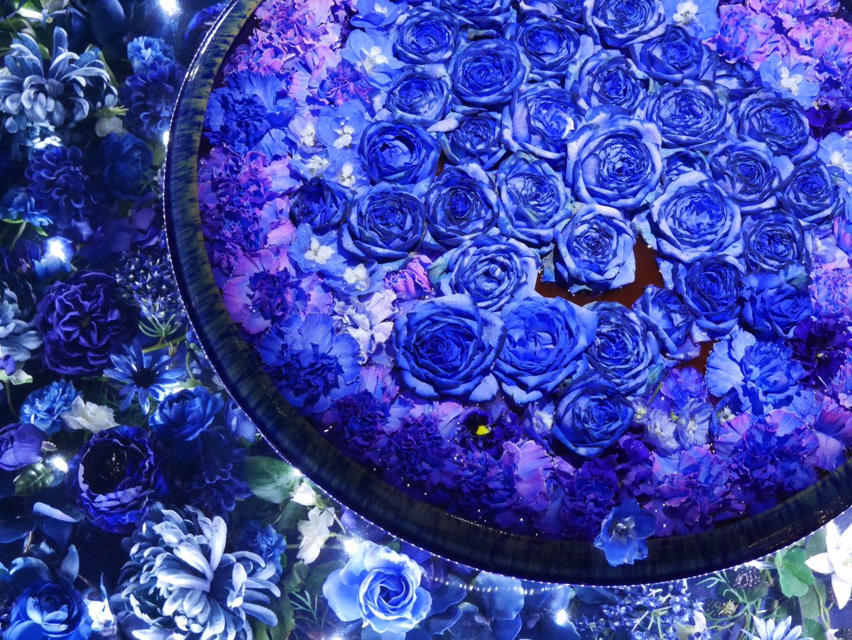 nono15note's tweet image. ã»ãšã¶ã¿ã°èªçããã§ãšãããããŸãð
äžæãã¯ãªãããã©æ¥åžžã®æãåºãšããŠãã·ã£ãã·ã£æ®ã£ãŠãŸãã®ã§UPãããŠãã ãããŒïŒ
#ããŸããã»ãšã¶