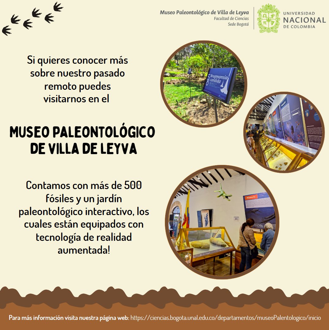 ¡Sigamos aprendiendo sobre fósiles! 🐚 Te esperamos en el Museo Paleontológico de Villa de Leyva de la Universidad Nacional para una experiencia aún más enriquecedora. 🦕 #Fósiles #MuseoPaleontológico #VillaDeLeyva #UNAL