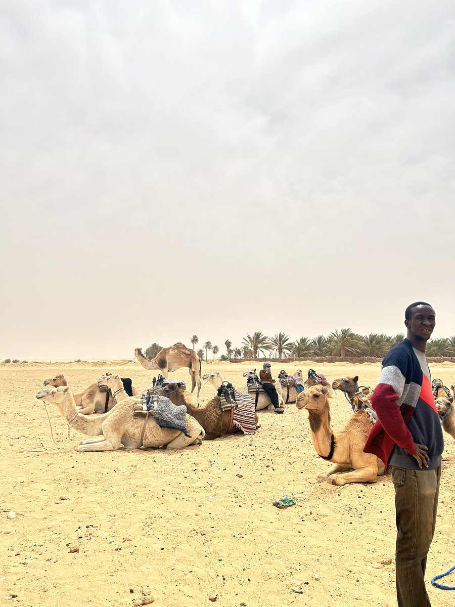 we rode camels