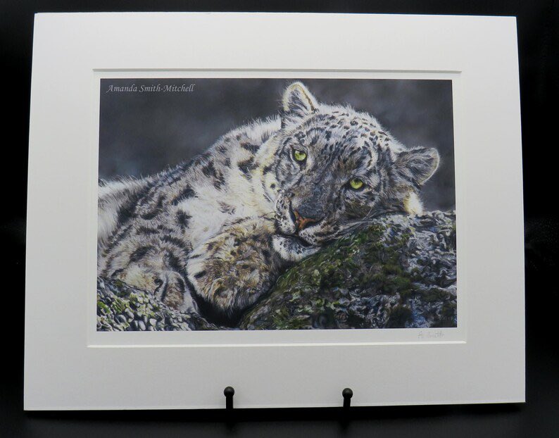 I think this was my first snow leopard in pastel pencils. Though the original has sold I still have quality signed and mounted prints available from my Etsy shop 

etsy.com/uk/listing/126…

#art #artforsale #snowleopard #snowleopardart #snowleopardpicture #artprints #animals