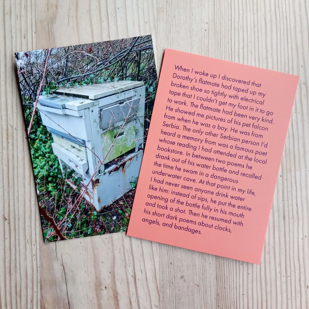 A new Oo poem-postcard pair launches today! We have: 👉Lila Matsumoto's prose-card *your dangerous shoe* 👉Jeff Hilson's photo of Bob Cobbing's rewilded photocopier (in Hugh Metcalfe's garden). £7.50 the pair incl. postage or £5 each Buy here or DM me oo-press.com/postcard-poems