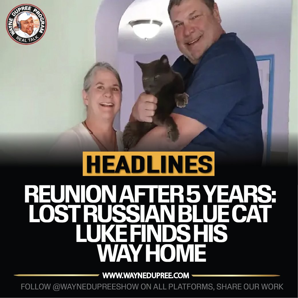 After disappearing from their Tucson residence five years ago, Cindy and Jeff Hall have finally been reunited with Luke, their missing Russian Blue feline companion.