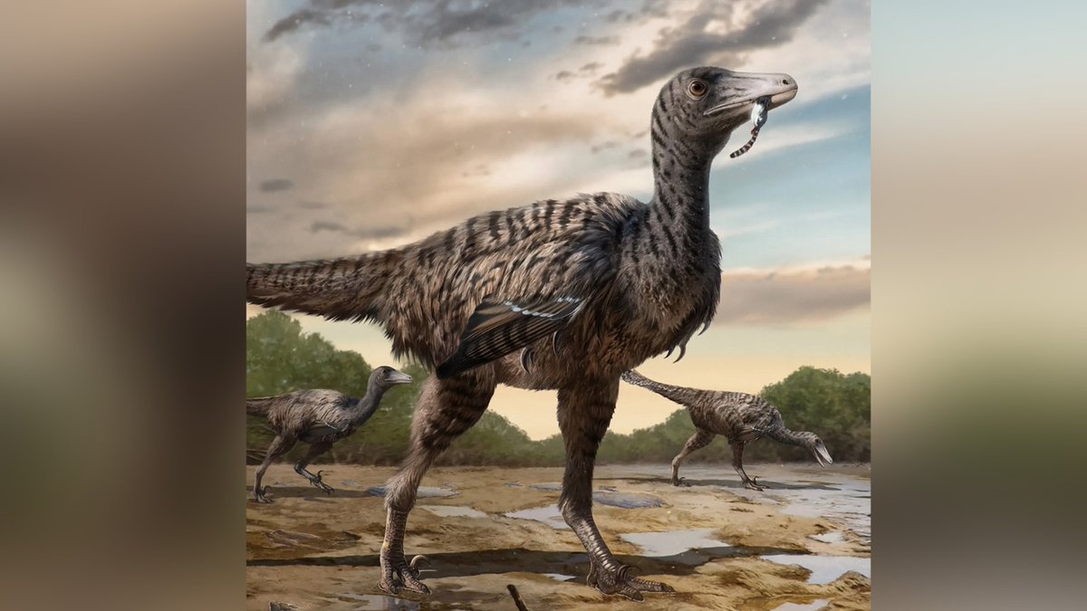 Devasa bir dinozor türü keşfedildi indyturk.com/node/718526